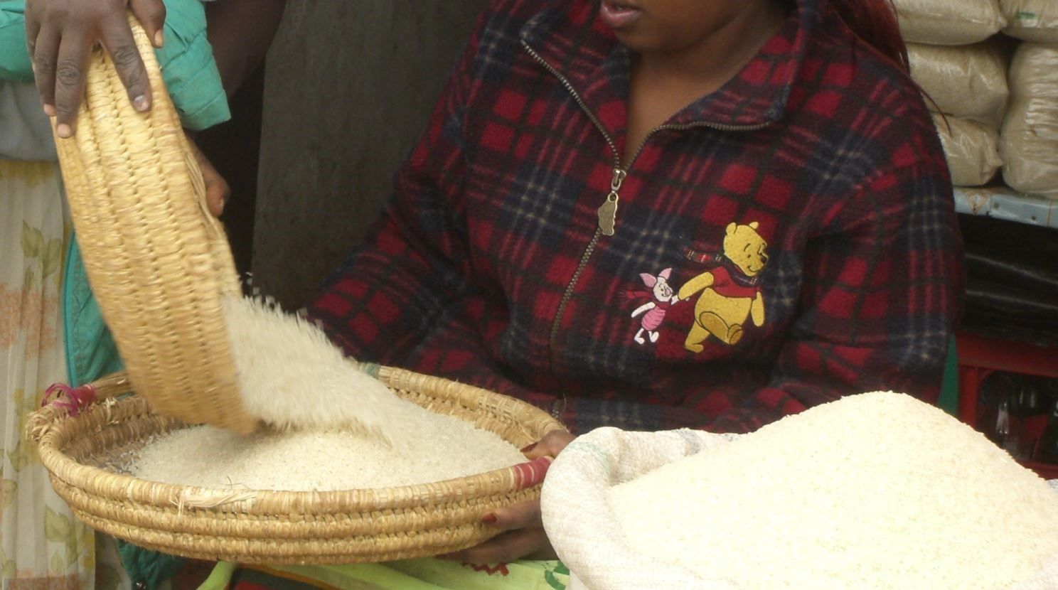 African Rice Sampling Welcome to SRI-Africa Knowledge Sharing Portal » SRI-AFRICA
